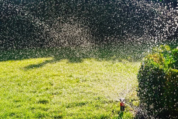 Irrigatie Van Een Groen Gazon Door Sprinklerinstallatie Stockafbeelding