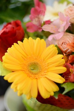 Çiçek kompozisyon. Renk karışımı. Parlak renkler karışımı. Bir renk düzeni. Canlı çiçek. Canlı canlı çiçekler. Neşeli, canlı, parlak çiçekler. Festival, hoş renk çözüm. Her gün için ruh.