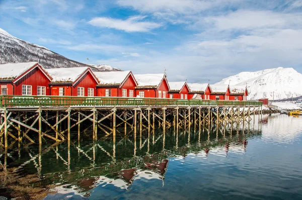Norveç 'te mavi gökyüzü ve fiyortlu kırmızı balıkçı kulübeleri.