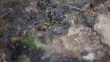 Kış kırsal manzara