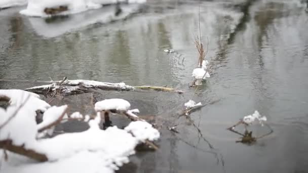 Paysage rural hivernal — Video