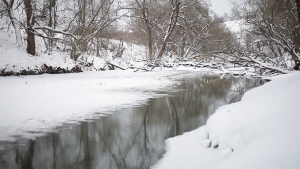冬の田舎の風景 — ストック動画