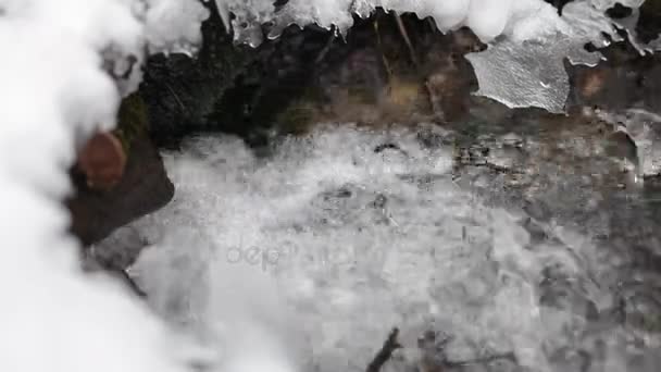 Зимовий пейзаж сільській місцевості — стокове відео