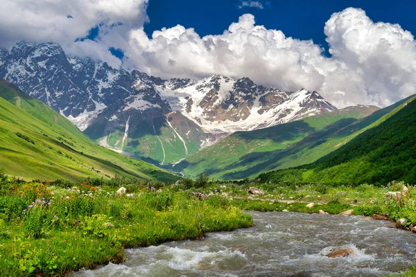 Schöne sommerliche Berglandschaft, hohe Gipfel, grünes Gras, blühende Blumen und blauer Himmel. — Stockfoto