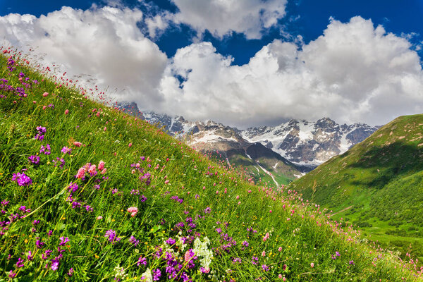 Beautiful summer mountain landscape, high peaks, green grass, blooming flowers and blue sky.