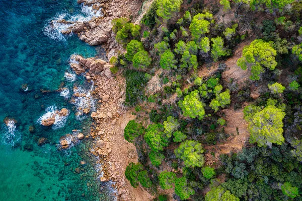 Deniz havası manzaralı. Üst manzara, doğa arka planı. Güneşli bir günde, kayalık dağları ve berrak suları olan gök mavisi deniz plajı. Uçan İHA. Tropik ağaçlar.
