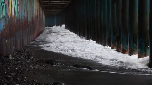 Ovanlig Strand Adler Nära Hamnen — Stockvideo