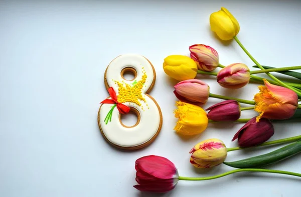 Maart Peperkoek Kleurrijke Tulpen Bloemen Een Witte Achtergrond — Stockfoto