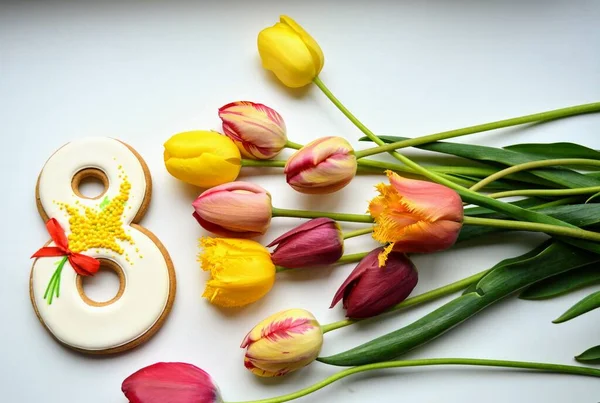 Maart Peperkoek Kleurrijke Tulpen Bloemen Een Witte Achtergrond — Stockfoto