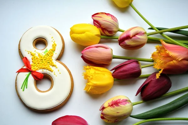 Maart Peperkoek Kleurrijke Tulpen Bloemen Een Witte Achtergrond — Stockfoto