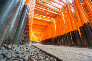 Torii gates de Fushimi Inari Tapınak, Kyoto