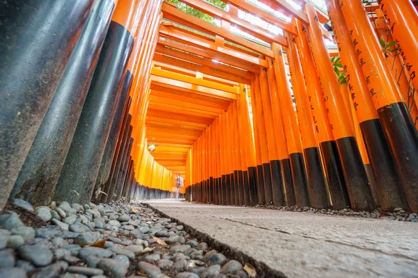 Ворота торії у Fushimi-Inari храм, Кіото — стокове фото