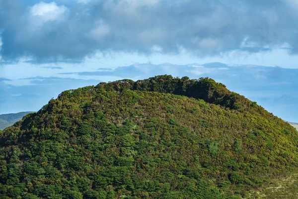 A vulkán tetején Azori-szigetek, Terceira — Stock Fotó