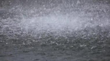 Tatlı su havuzu ve şelale yavaş hareket