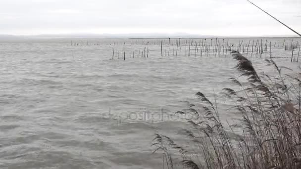 Негода над Albufera водно-болотних угідь, Валенсія. — стокове відео