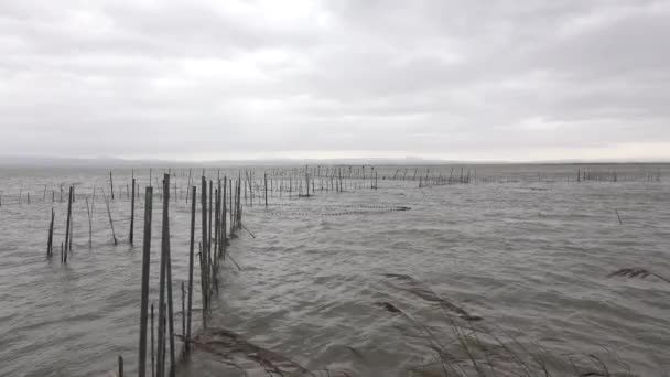Rossz időjárás felett Albufera vizes, Valencia. — Stock videók