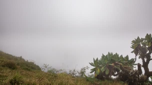 ルワンダの Bisoke 火山の時間の経過 — ストック動画
