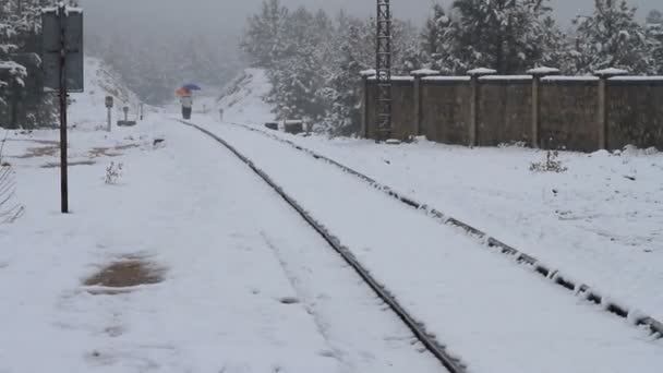 Caminar y nieve — Vídeos de Stock