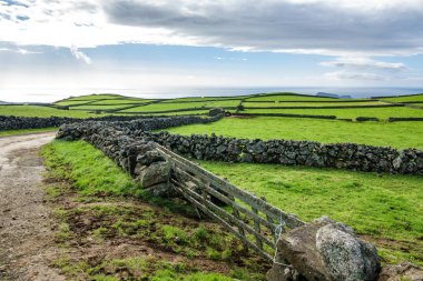 Azores 'teki Terceira adasındaki tarlalar.