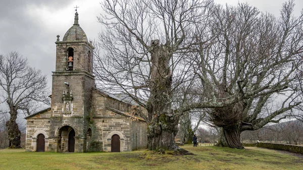 Gamla kastanjeträd i rad och gamla kapell fasaden — Stockfoto