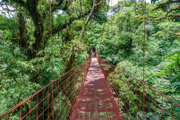 Suspended Bridge at Monteverde Cloud Forest, Costa Rica — Stock Photo, Image