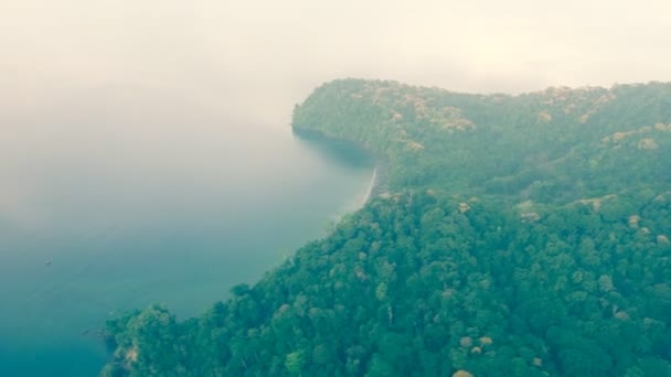Vista vintage del bosque corcovado desde el aire — Vídeo de stock
