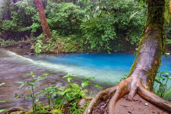 Blue river i Costa Rica — Stockfoto