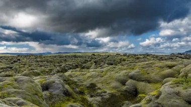 yosun kaplı lav alanı loopable İzlanda'hızlandırılmış