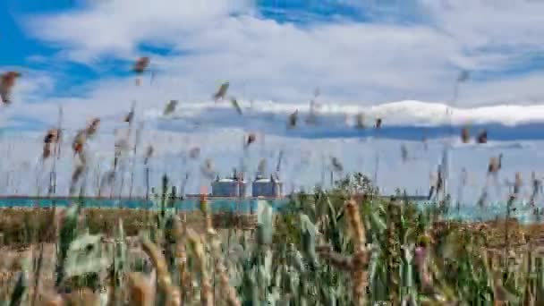 Verschwommene Anlagen vor Industriehafen-Zeitraffer — Stockvideo