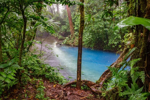 Början av blå floden i Costa Rica — Stockfoto