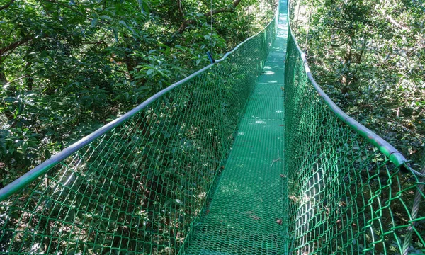 Green hanging bridge in Rainforest of Monteverde — Stock Photo, Image