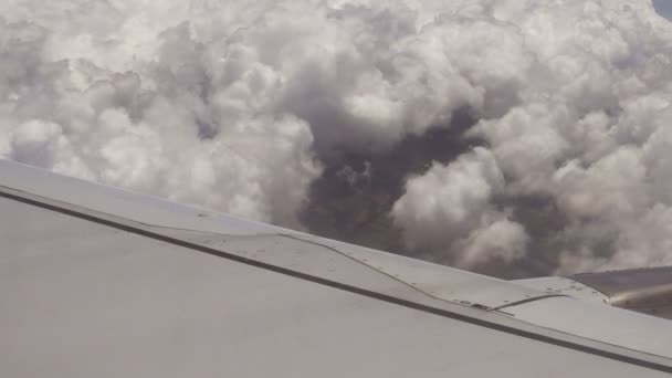 商業飛行機が雲の中に飛んで — ストック動画