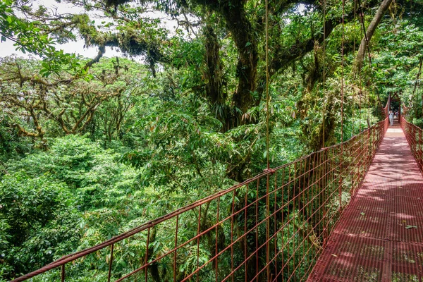 Röda hängande bron i regnskog i Monteverde — Stockfoto