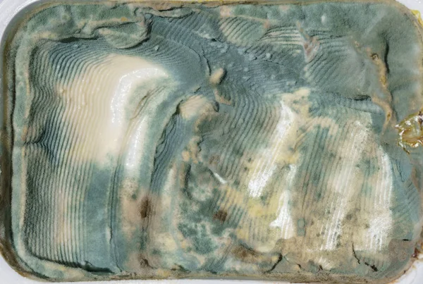 Closeup on rotten fresh cheese tub — Stock Photo, Image