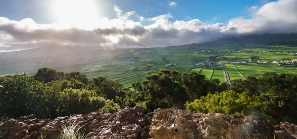 Wysoki kontrast podświetlany pól gospodarstwa w Wyspa Terceira Azory, — Zdjęcie stockowe