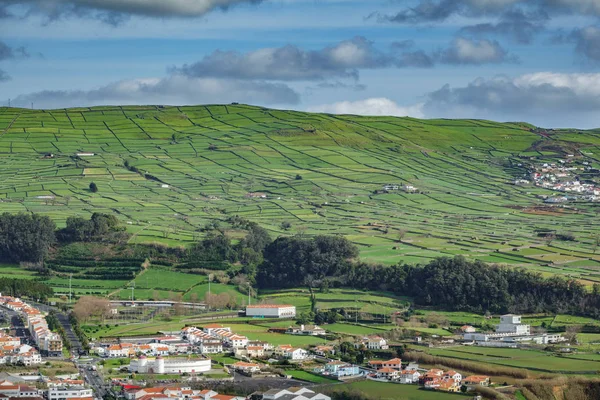 Farm fields with houses in the Terceira island in Azores — Stock Photo, Image