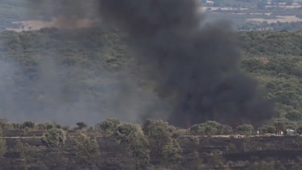 Bosque de encina ardiendo con humo negro, tiro largo en 4k — Vídeo de stock