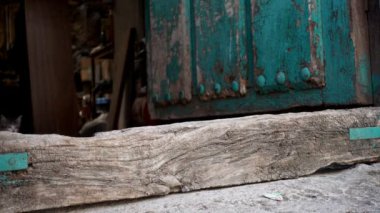 Süper ağır çekim, döngü hazır atlama yavru kedi