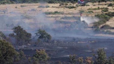 Helikopterin içinde belgili tanımlık vahşi ateş su atma loopable 4k görüntülemek
