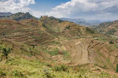 Uganda ekili dağlar