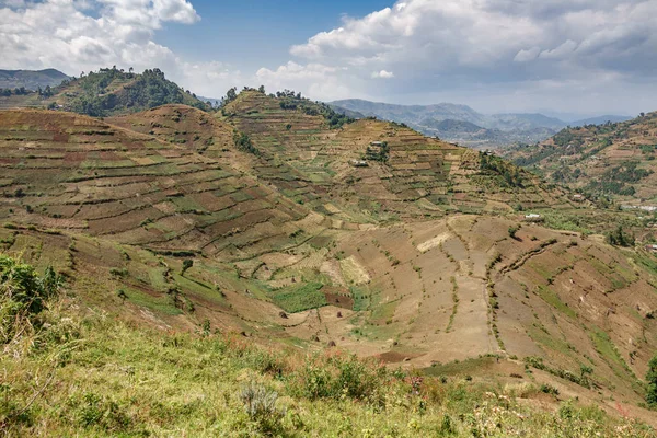 Uganda ekili dağlar