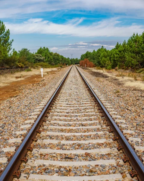 Järnvägen i det vilda perspektivet — Stockfoto