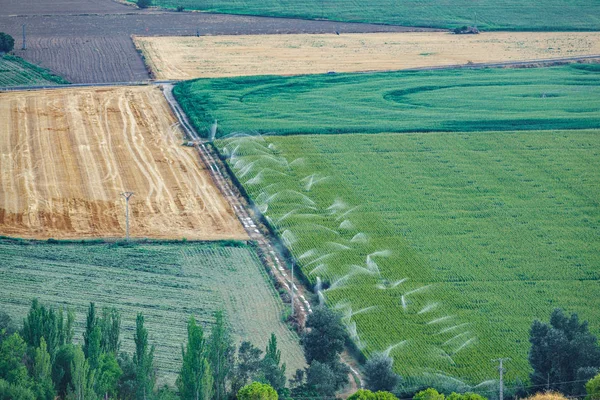 Tarım alanları ile çalışma sulama makineleri — Stok fotoğraf