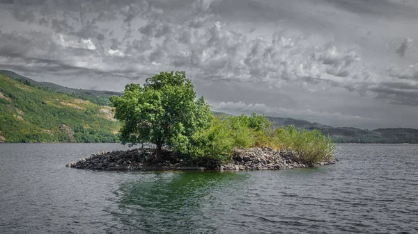 Pequeña isla con árbol en medio del lago Sanabrias —  Fotos de Stock