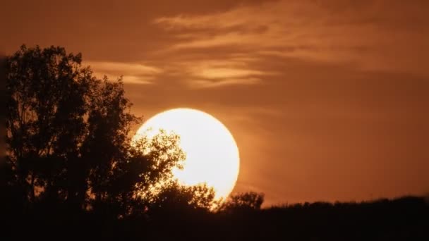 山と木のタイムラプスに沈む夕日 — ストック動画