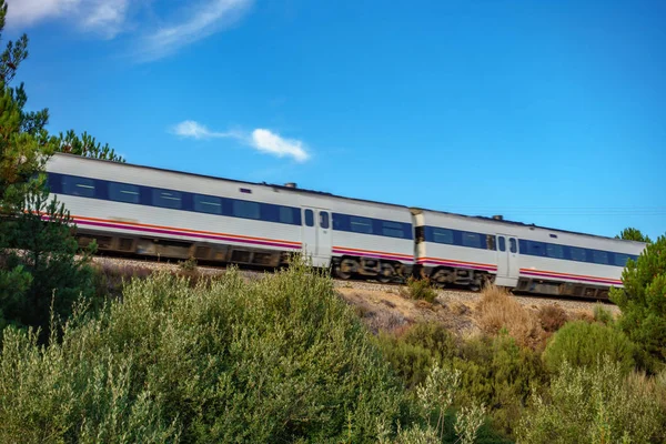 Järnväg och tåg mitt i naturen — Stockfoto