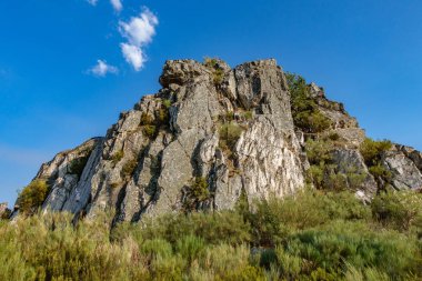 Ortaya çıkan bush taşın
