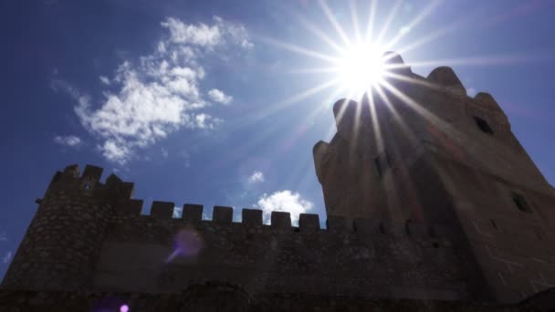 Retroilluminazione del castello con sole — Video Stock