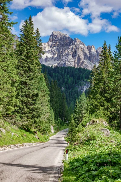 Strada di montagna diritta nelle Dolomiti con bosco alberato e cime — Foto Stock
