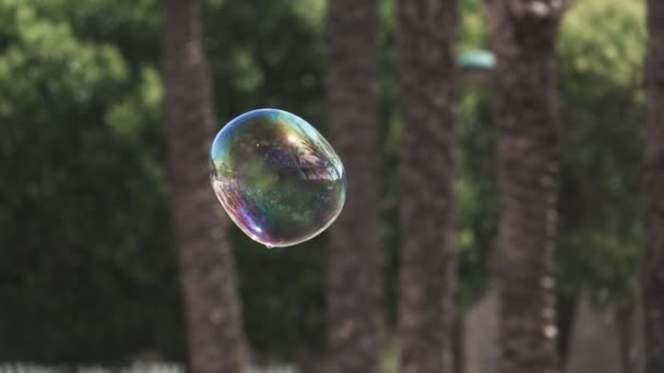 Мыльный пузырь в воздухе, очень медленное движение — стоковое видео